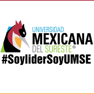 Universidad Mexicana Del Sureste